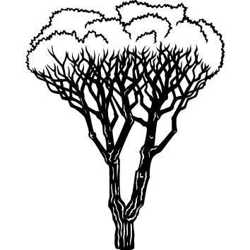 Sticker arbre : 14